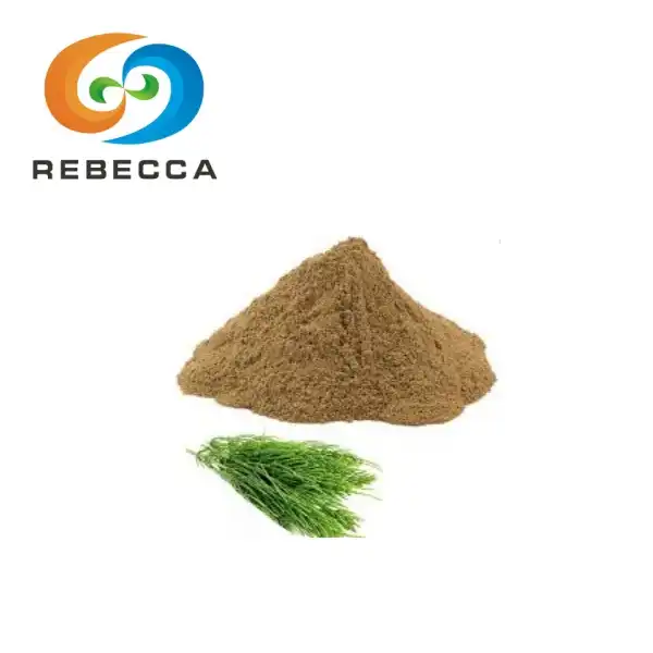 Horsetail Herb Extract